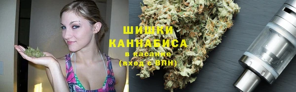 спиды Богородицк
