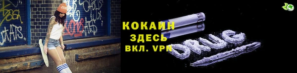 спиды Богородицк