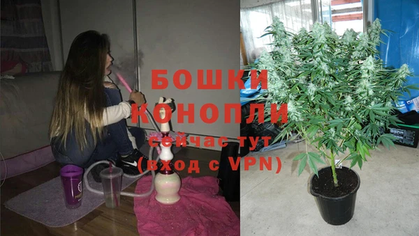 спиды Богородицк