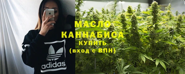 спиды Богородицк