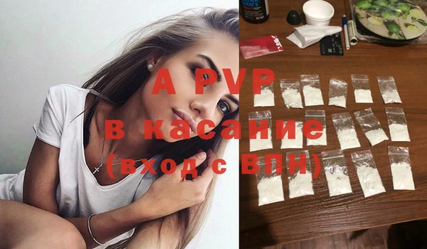 эйфоретик Богданович