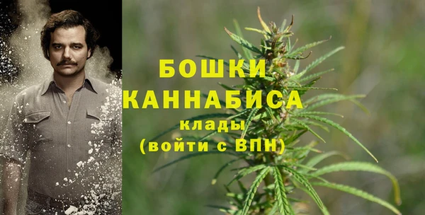 спиды Богородицк