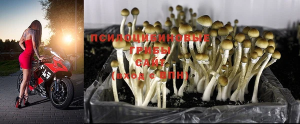 эйфоретик Богданович