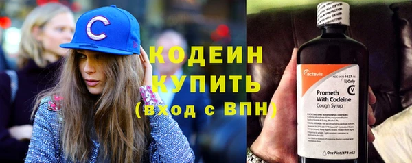 спиды Богородицк