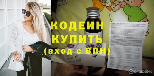 спиды Богородицк