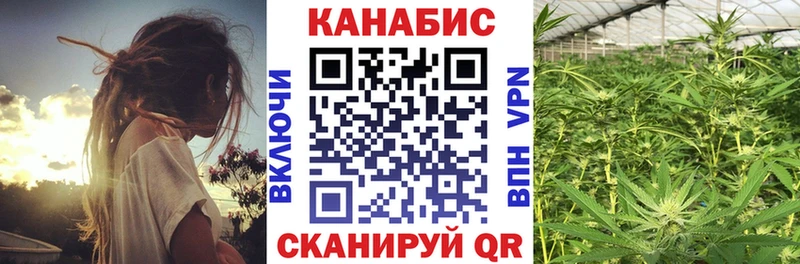 Купить закладки  Алушта  Каннабис сатива 